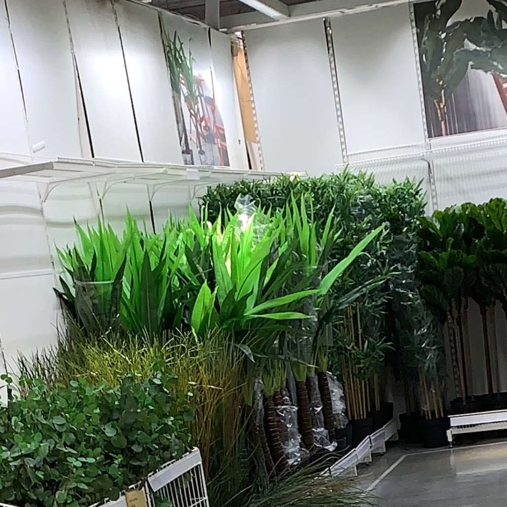 Meet your Posher, Karima